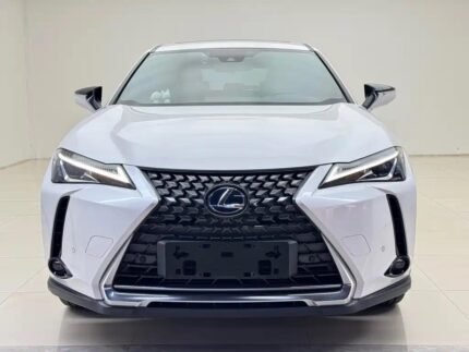 2021 Lexus UX EV - Top 5 Chinese EV Companies Pick
