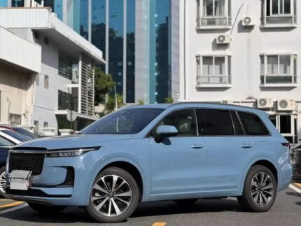 2021 LI 80 - Positive China Cars Review Model