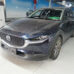 2021 Mazda CX-30 for sale 926330 | Eauto Export