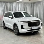 2021 One Heart Li Young Lee - EV Chinese Cars Emotional