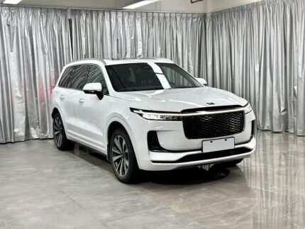 2021 One Heart Li Young Lee - EV Chinese Cars Emotional