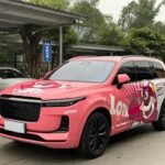 2021 One Li You - Personal New Chinese EV Choice