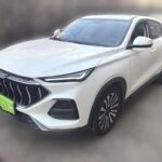2021 Oshan X5 Review - Biggest Chinese EV Companies