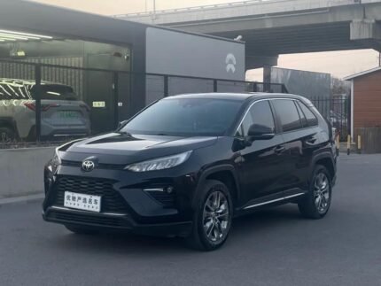 2021 Toyota Wildlander for sale 920256 | Eauto Export