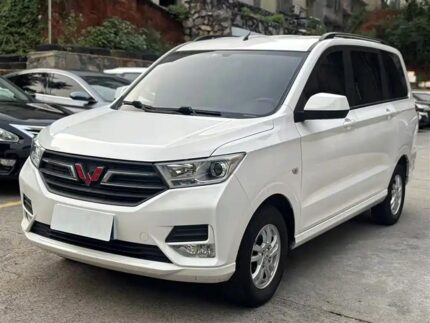 2021 Wuling Hongguang Mini E.V: Chinese Used Car Import