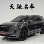 2022 1 Li Vade Ne Demek Fal - Top 3 Chinese EV Companies