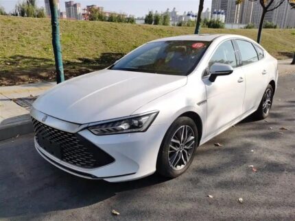 2022 AG BYD Qin Plus - All Chinese Electric Cars