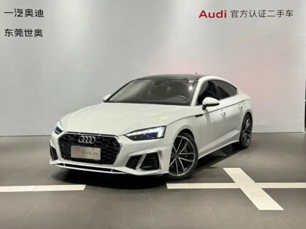 2022 Audi for sale 825338 | Eauto Export