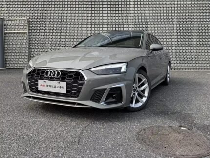 2022 Audi for sale 826757 | Eauto Export
