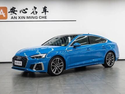 2022 Audi for sale 833417 | Eauto Export