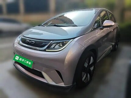 2022 Autonomia BYD Dolphin Mini - Top 5 Chinese EV Firms