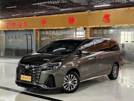 2022 Buick GL-8: China Used Car Sales Zero Mileage