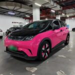 2022 BYD Dolphin for sale 913315 | Eauto Export