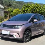 2022 BYD Dolphin for sale 913341 | Eauto Export