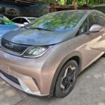 2022 BYD Dolphin for sale 913349 | Eauto Export