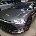 2022 BYD Han Tuning - Leading Chinese EV Company