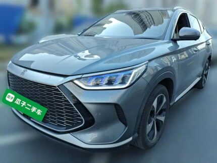 2022 BYD Song Plus Champion EV Разгон до 100 List of Chinese Electric Car Companies