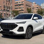 2022 Changan Oshan X5 300T - Quality Used EV Car China