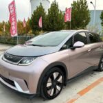 2022 Dimensi BYD Dolphin - Biggest Chinese EV Companies