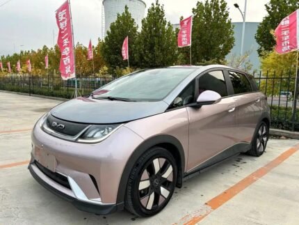 2022 Dimensi BYD Dolphin - Biggest Chinese EV Companies