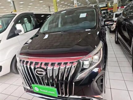 2022 GAC Trumpchi Trumpchi M8 for sale 922002 | Eauto Export