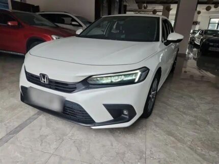 2022 Honda Civic Type R Horsepower vs Top Chinese EV Car Companies