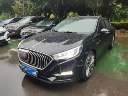 2022 Hongqi H5 for sale 922866 | Eauto Export