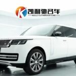 2022 Land Rover Range Rover for sale 847305 | Eauto Export