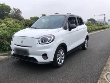 2022 Leapmotor T03 for sale 925483 | Eauto Export
