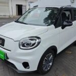 2022 Leapmotor T03 for sale 925485 | Eauto Export