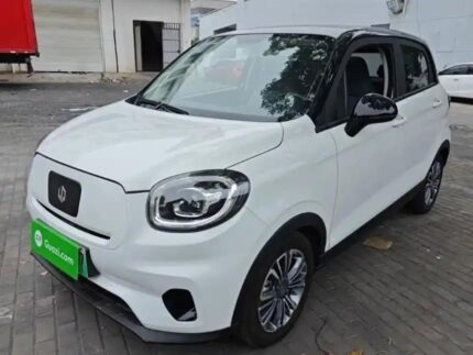 2022 Leapmotor T03 for sale 925485 | Eauto Export