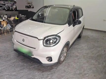 2022 Leapmotor T03 for sale 925492 | Eauto Export