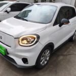 2022 Leapmotor T03 vs Dacia Spring - EV Chinese Cars
