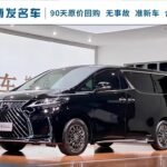 2022 Lexus LM Hybrid: Global Export