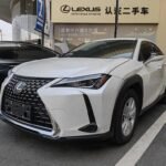 2022 Lexus UX 2L Petrol - China Export
