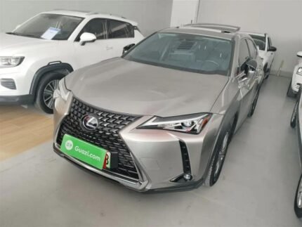 2022 Lexus UX EV for sale 925092 | Eauto Export