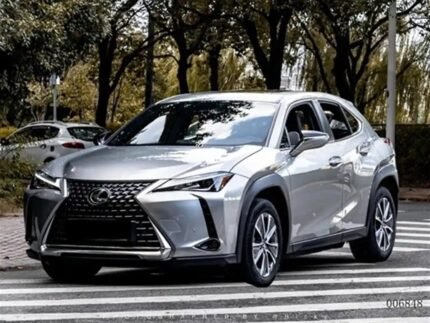 2022 Lexus UX EV for sale 925094 | Eauto Export
