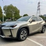2022 Lexus UX EV for sale 925097 | Eauto Export