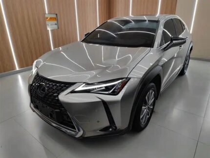 2022 Lexus UX EV - Top 10 Chinese EV Companies