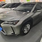 2022 Lexus UX Hybrid - China Export