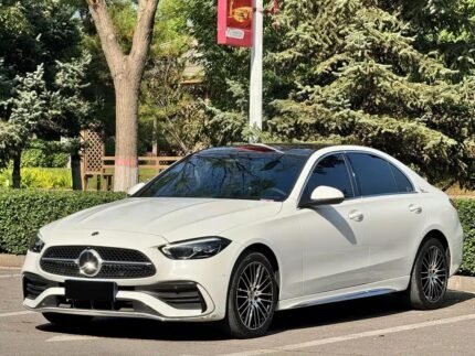 2022 Mercedes Benz C-Class 7: Top 10 Chinese EV Companies