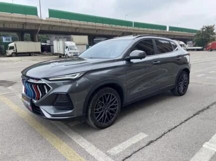 2022 Oshan X5 Review - Dominant Top Chinese EV Companies