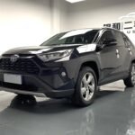 2022 Toyota RAV4 for sale 870365 | Eauto Export