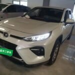 2022 Toyota Wildlander for sale 920267 | Eauto Export