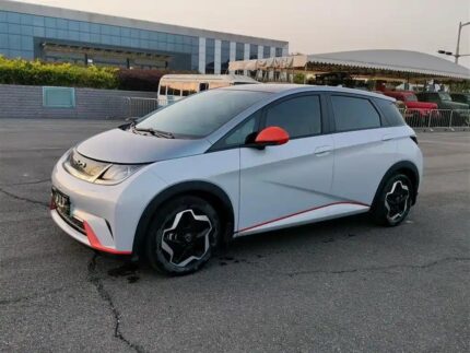 2022 Valor BYD Dolphin Mini - Exciting New Chinese EV