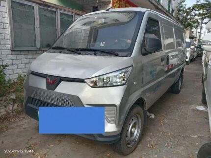 2022 Wuling EV50 Best Chinese EV Cars - Commercial Used