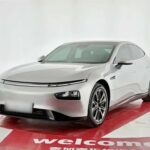 2022 Xpeng P7 for sale 931599 | Eauto Export