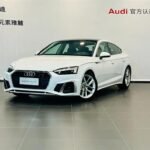 2023 Audi for sale 827784 | Eauto Export