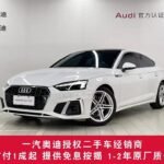 2023 Audi for sale 828151 | Eauto Export