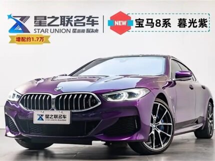 2023 BMW 8 Series for sale 842928 | Eauto Export